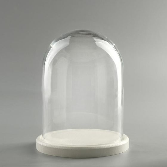Стеклянный купол-клош на деревянной подставке &quot;Венсан - 1&quot;, 20х15 см, белый