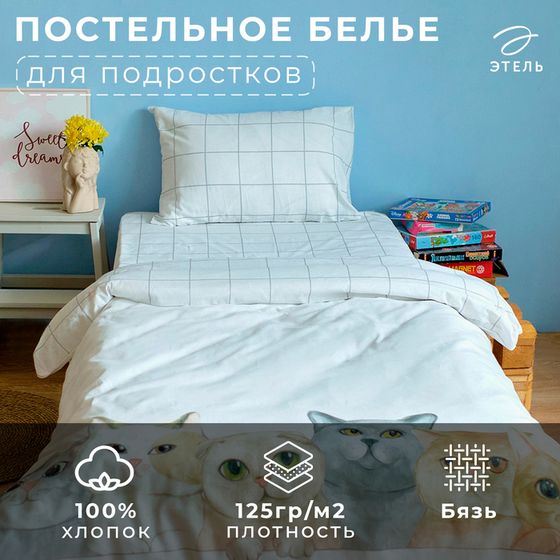 Постельное бельё Этель 1,5 сп &quot;Happy cats&quot; 143х215 см, 150х214 см, 50х70 см -1 шт, 100 % хлопок, бязь