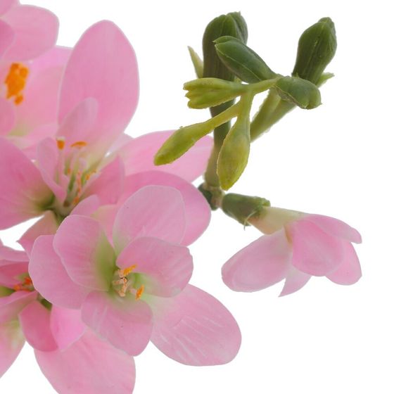 Цветок искусственный &quot;Фрезия&quot;, L12 W6 H61 см