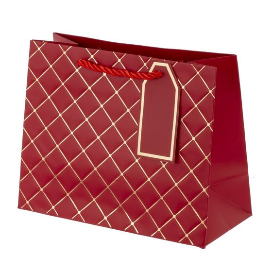 Пакет подарочный (бумага 210г/м2, блок 12шт), L23 W10 H18 см, 5в.