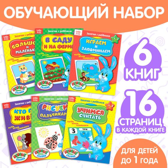 Обучающие книги «Полный годовой курс. Серия от 0 до 1 года», 6 книг по 16 стр., в папке