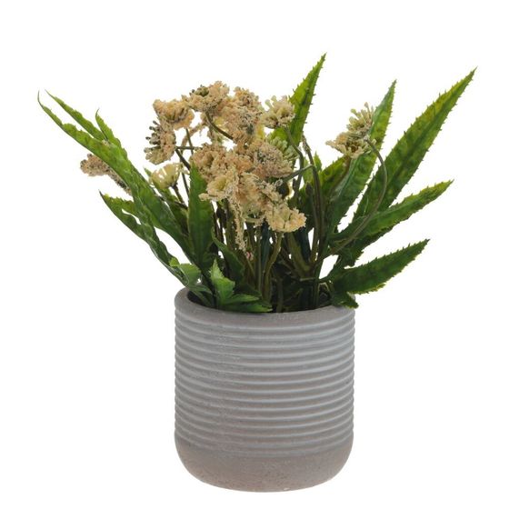 Цветочная композиция, L9 W9 H18 см, 5в.