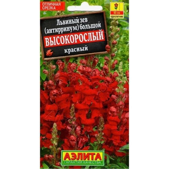 Семена цветов Львиный зев «Высокорослый», однолетник, красный