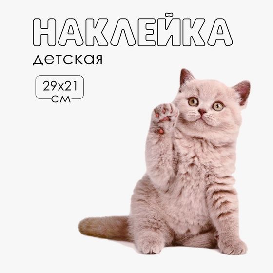 Наклейка 3Д интерьерная Котик 29*21см