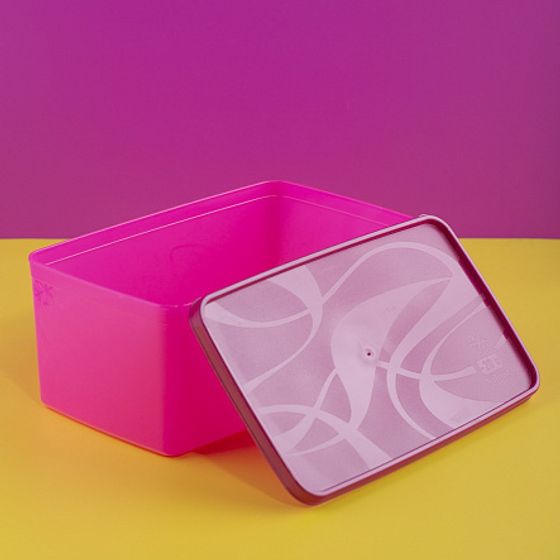 Контейнер для заморозки ALASKA 3.5л фуксия