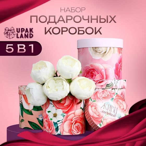 Набор шляпных коробок для цветов 4 в 1, упаковка подарочная, «Нежность», 20 × 17.5 - 16×14 см
