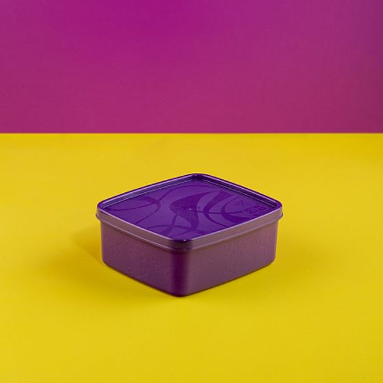 Контейнер для заморозки ALASKA 0.65л фиолетовый