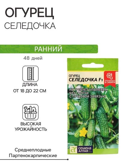 Семена Огурец &quot;Селедочка&quot;, F1, Сем. Алт, ц/п, 5 шт