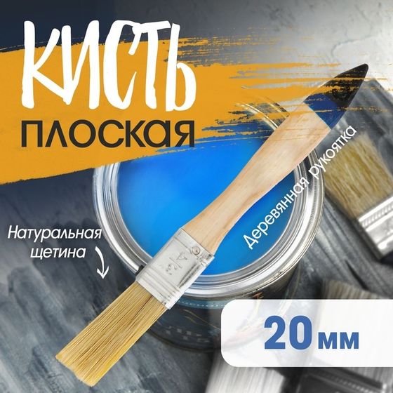 Кисть плоская ТУНДРА, натуральная щетина, деревянная рукоятка, 3/4&quot;, 20 мм