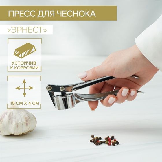 Пресс для чеснока Доляна «Эрнест», 15 см, цвет серебристый
