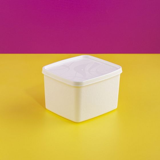 Контейнер для заморозки ALASKA 1.2л белый