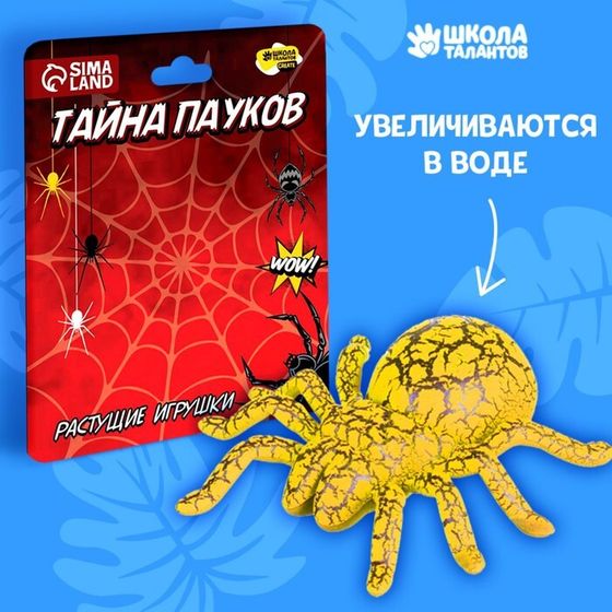 Растущие игрушки «Тайна пауков»