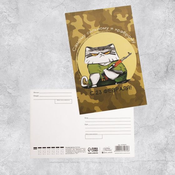 !09 Почтовая карточка (набор 4 штуки) «23 февраля» суровый кот, 10 х 15 см.