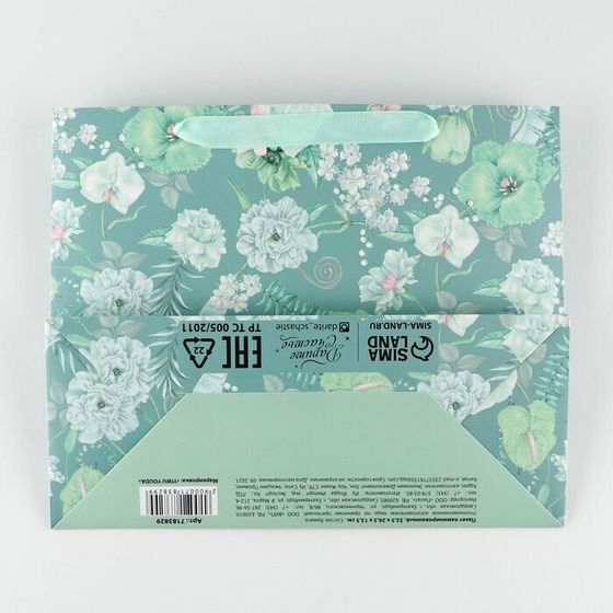 !Пакет ламинированный «Тебе» с пластиковым окном, 32,5 × 26,5 × 13,5 см