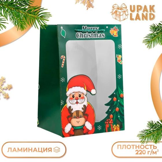 Пакет подарочный новогодний с окном &quot;Дед мороз&quot; 30 х 20 х 16 см.