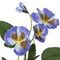 Цветок искусственный "Фиалка", L12 W8 H38 см