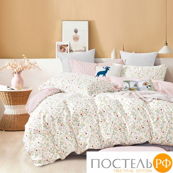 TPIG2-1694-70 КОД1049 Twill 2 спальный 70x70 (2 шт) Сатин (Твил) Коробка