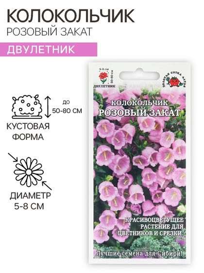 Семена цветов Колокольчик &quot;Розовый закат&quot;, 0,1 г