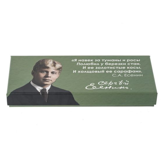 Набор подарочный: ручка перьевая, 5 наконечников, чернильница, Д28 Ш11,5 В4 см