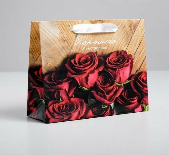 !09 НАБОР 2 ШТУКИ - Пакет подарочный ламинированный «Хорошего настроения», 22 × 17.5 × 8 см