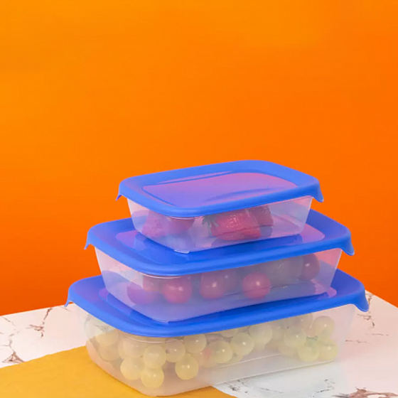 Набор контейнеров для СВЧ FRESH&amp;GO 0.81.72.90.25л синий