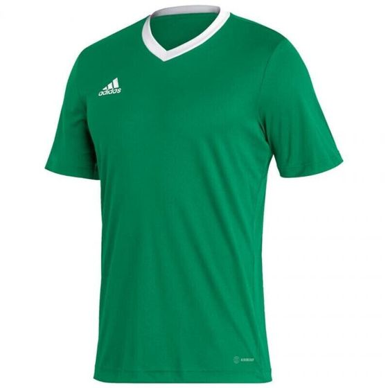 Мужская спортивная футболка зеленая с логотипомT-shirt adidas Entrada 22 Jersey M HI2123