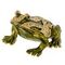 Шкатулка &quot;Лягушка&quot;, L7 W8 H4,5 см