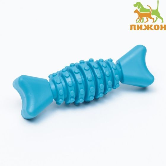 Игрушка жевательная &quot;Конфетка&quot;, TPR, 12 см, голубая