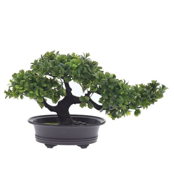 Цветочная композиция "Бонсай", L32 W13 H19 см, 1 штука, дизайн микс