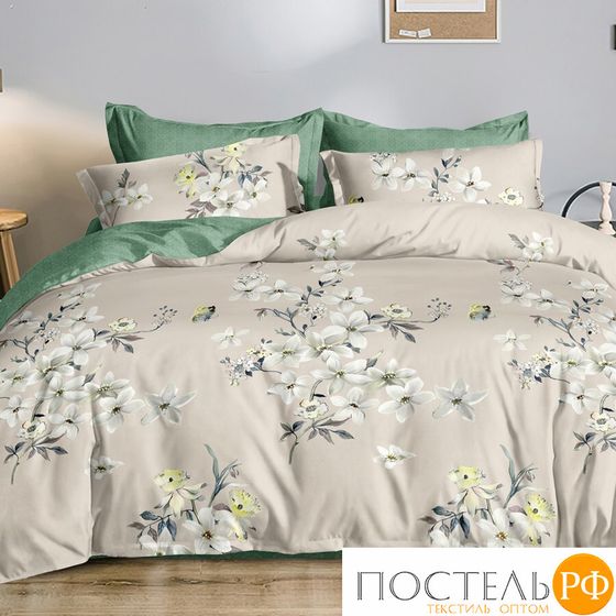 КПБ CL HOME Поплин &quot;Pure Cotton&quot; евро 200*220*1 220*240*1(±5) 50*70*2(±2) 70*70*2(±2) в ПВХ 31/009-PCE