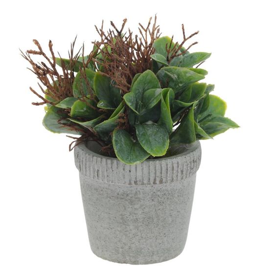 Цветочная композиция, L11 W11 H16 см, 2в.