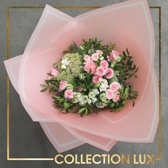 !09 Пергамент для цветов (набор 9 листов) «Нежность», 50 х 70 см.