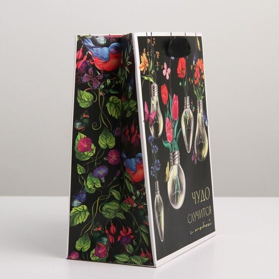 !Пакет ламинированный 2 штуки вертикальный «Чудо», MS 18 × 23 × 10 см.