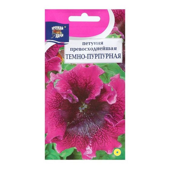 Семена цветов Петуния &quot;Тёмно-пурпурная&quot;, 0,01 г. в амп.