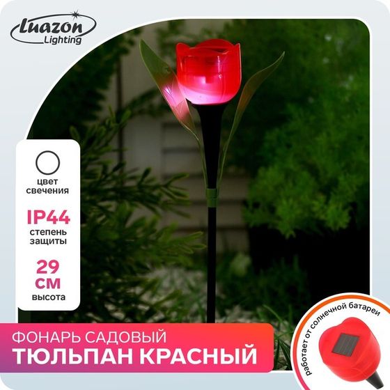 Садовый светильник на солнечной батарее «Тюльпан красный», 5×29×5 см, 1 LED, свечение белое