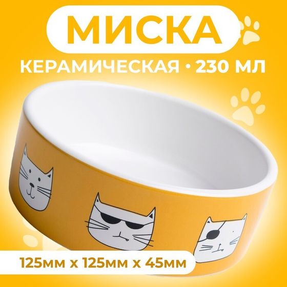 Миска керамическая &quot;Опасные коты&quot; 230 мл  12,5 x 4,5 cм, бело-оранжевая