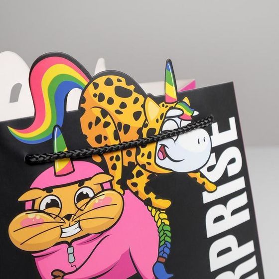 !09 Пакет подарочный Surpprise, набор 2 штуки, 25 × 26 × 10 см.