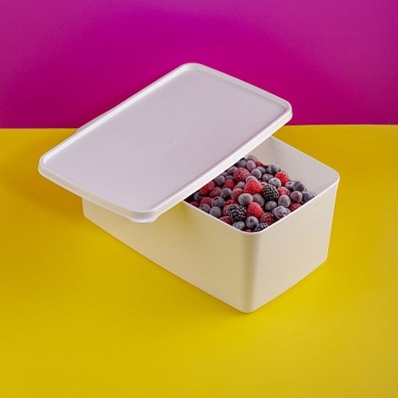 Контейнер для заморозки ALASKA 3.5л белый