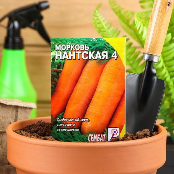 Семена Морковь &quot;Нантская 4&quot;, 1 г