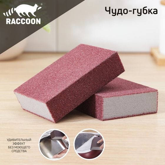 Набор губок чистящий Raccoon «Чудо-губка», 10,5×7×5 см, 2 шт