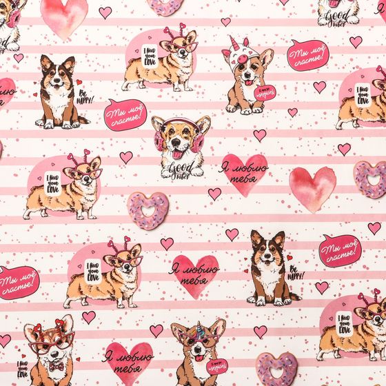 !09 Набор глянцевой бумаги (3 листа): "Корги" ,50 × 70 см ,2 листа + «Послания» ,1 лист, 70×100 см