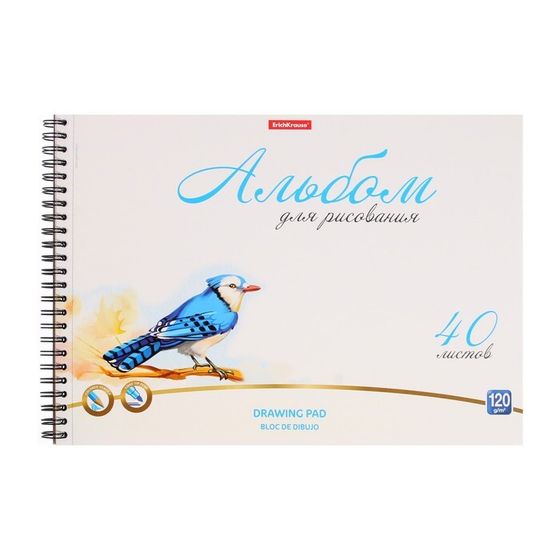 Альбом для рисования А4, 40 листов на спирали, Erich Krause Birds, блок 120 г/м², 100% белизна, перфорация для отрыва, твёрдая подложка