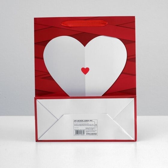 !09 Пакет (набор 4 штуки) ламинированный 26 x 32 x 12 см.