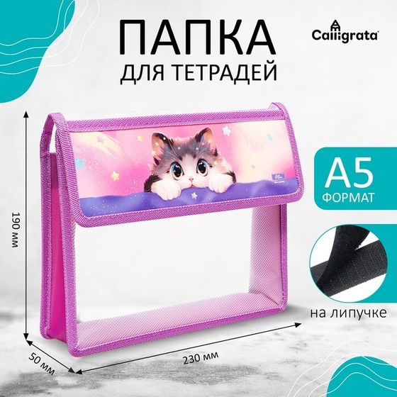 Папка для тетрадей А5 (230 х 190 х 50 мм), с клапаном на липучке, пластик/текстиль, Calligrata, &quot;Котик корея&quot;