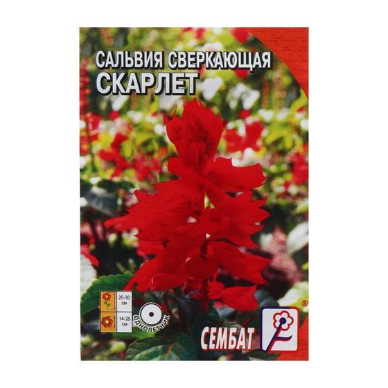 Семена цветов Сальвия сверкающая &quot;Скарлет&quot;,  0,05 г