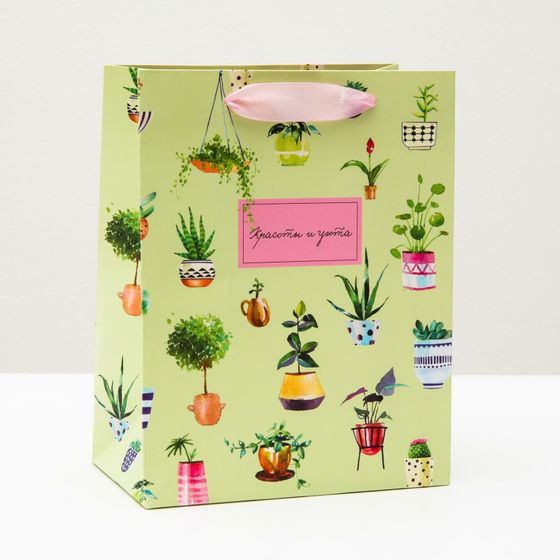 !НАБОР 6 ШТУК - Пакет подарочный "Красоты и уюта", 18 х 22,3 х 10 см