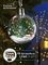 !09 Набор ёлочных шаров «Веточки и шишки» 2 шт., батарейки, 5 LED, свечение белое