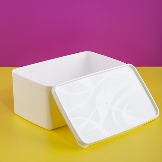 Контейнер для заморозки ALASKA 3.5л белый