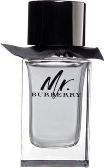 Burberry Mr. Burberry EDT 50 ml