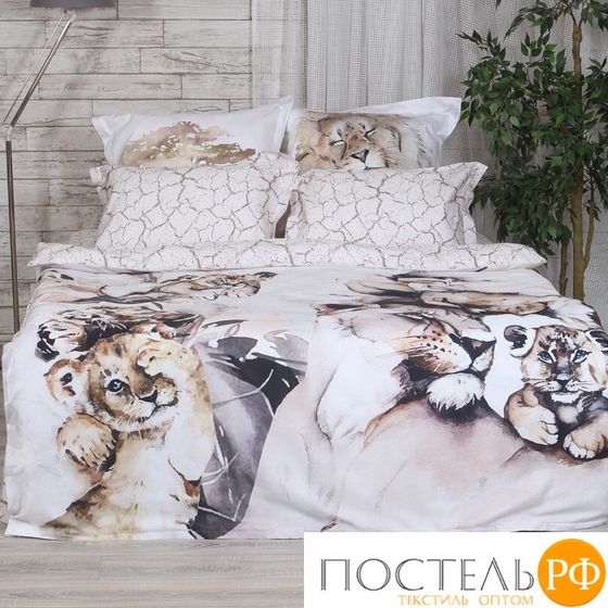 5860/2 КПБ 2сп SL Family &quot;Leos&quot; н(2)70*70 н(2)50х70 сатин